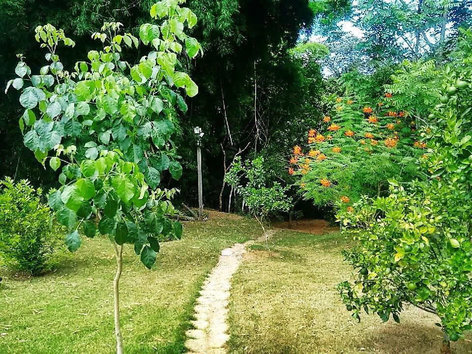 Pousada Orquídeas da Canastra Vargem Bonita Exterior foto